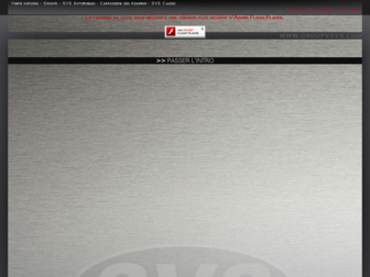 groupesvs.com website preview