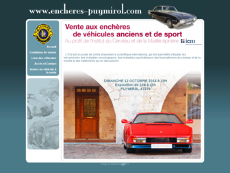 encheres-puymirol.com website preview