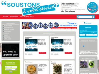 soustons-a-votre-service.fr website preview