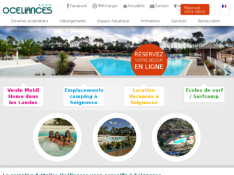 oceliances.com website preview