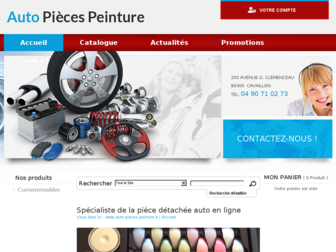 auto-pieces-peinture.fr website preview