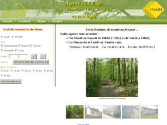 immobilier-nancay.fr website preview