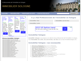 immobiliersologne.com website preview