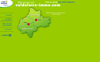 valdeloire-immo.com website preview