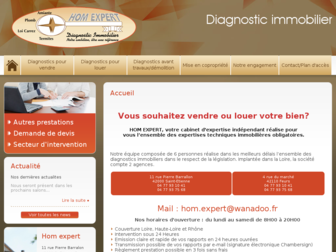 diagnosticimmobilier-loire.com website preview