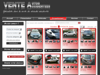 vente-auto-accidentee.com website preview