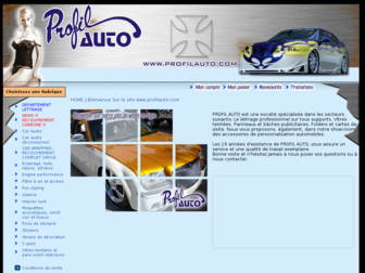profilauto.com website preview