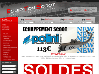 equiptonscoot.com website preview