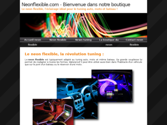 neonflexible.com website preview