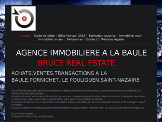 brucerealestate.fr website preview