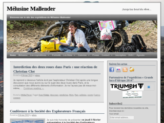 melusinemallender.fr website preview