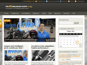 blog.motoblouz.com website preview