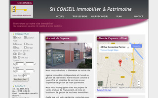 agenceshconseil.com website preview