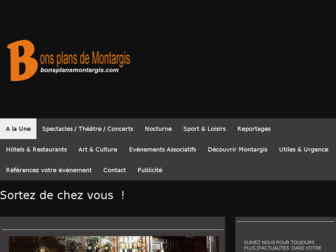 bonsplansmontargis.com website preview