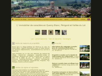 prodom-immobilier.fr website preview