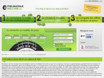 sava.pneumatique-pas-cher.com website preview