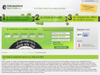 nankang.pneumatique-pas-cher.com website preview