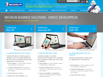 business.viamichelin.fr website preview