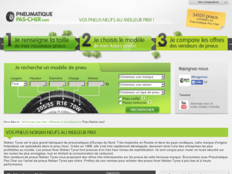 nokian.pneumatique-pas-cher.com website preview