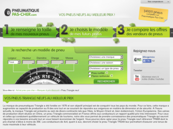 triangle.pneumatique-pas-cher.com website preview