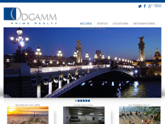 odgamm.com website preview