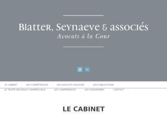 blatter.fr website preview