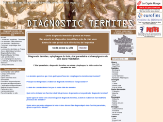 diagnostic-termites.pro website preview