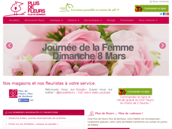 plus-de-fleurs.com website preview