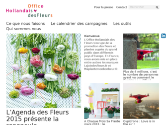 officedesfleurs.fr website preview