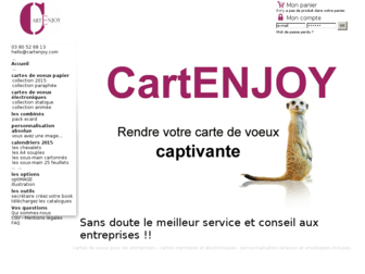cartenjoy.com website preview