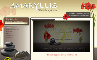 fleuriste-amaryllis.com website preview