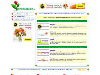express-fleurs.com website preview