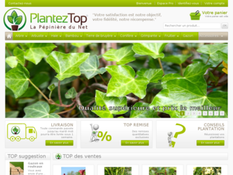planteztop.fr website preview