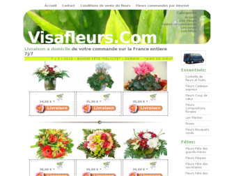 visafleurs.com website preview