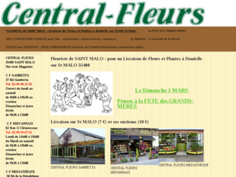 central-fleurs.com website preview