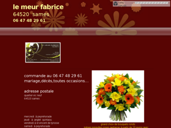 lemeurfabrice.sitew.com website preview