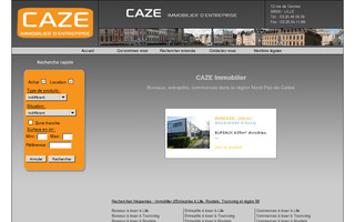 caze-immo.com website preview