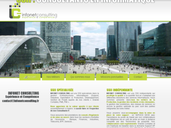 infonet-consulting.net website preview