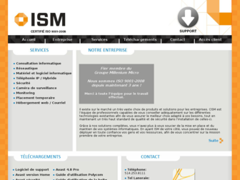 consultants-ism.com website preview