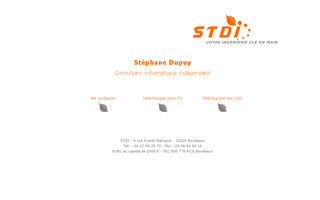 stdi.fr website preview