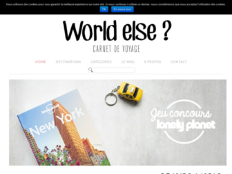 worldelse.com website preview