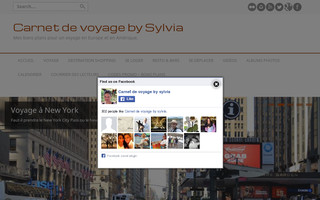 carnetdevoyagebysylvia.fr website preview