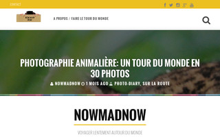 nowmadnow.com website preview