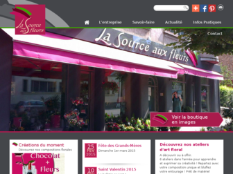 la-source-aux-fleurs.fr website preview