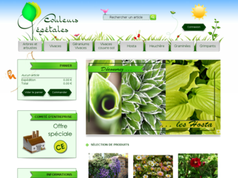 couleursvegetales.fr website preview