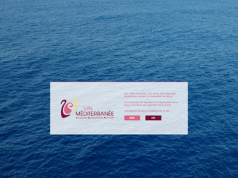 vin-de-mediterranee.fr website preview