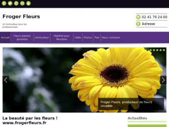 frogerfleurssarl.com website preview