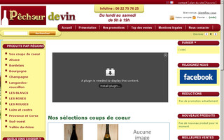 pecheurdevin.com website preview