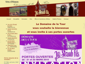 vins-straub.fr website preview