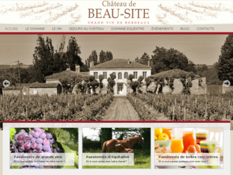 chateaudebeausite.fr website preview